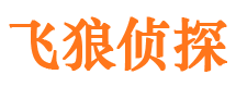 河间市私家侦探